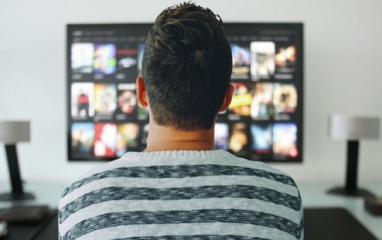 Netflix and Baby Shark small_13-3-19_06-04-17.jpg